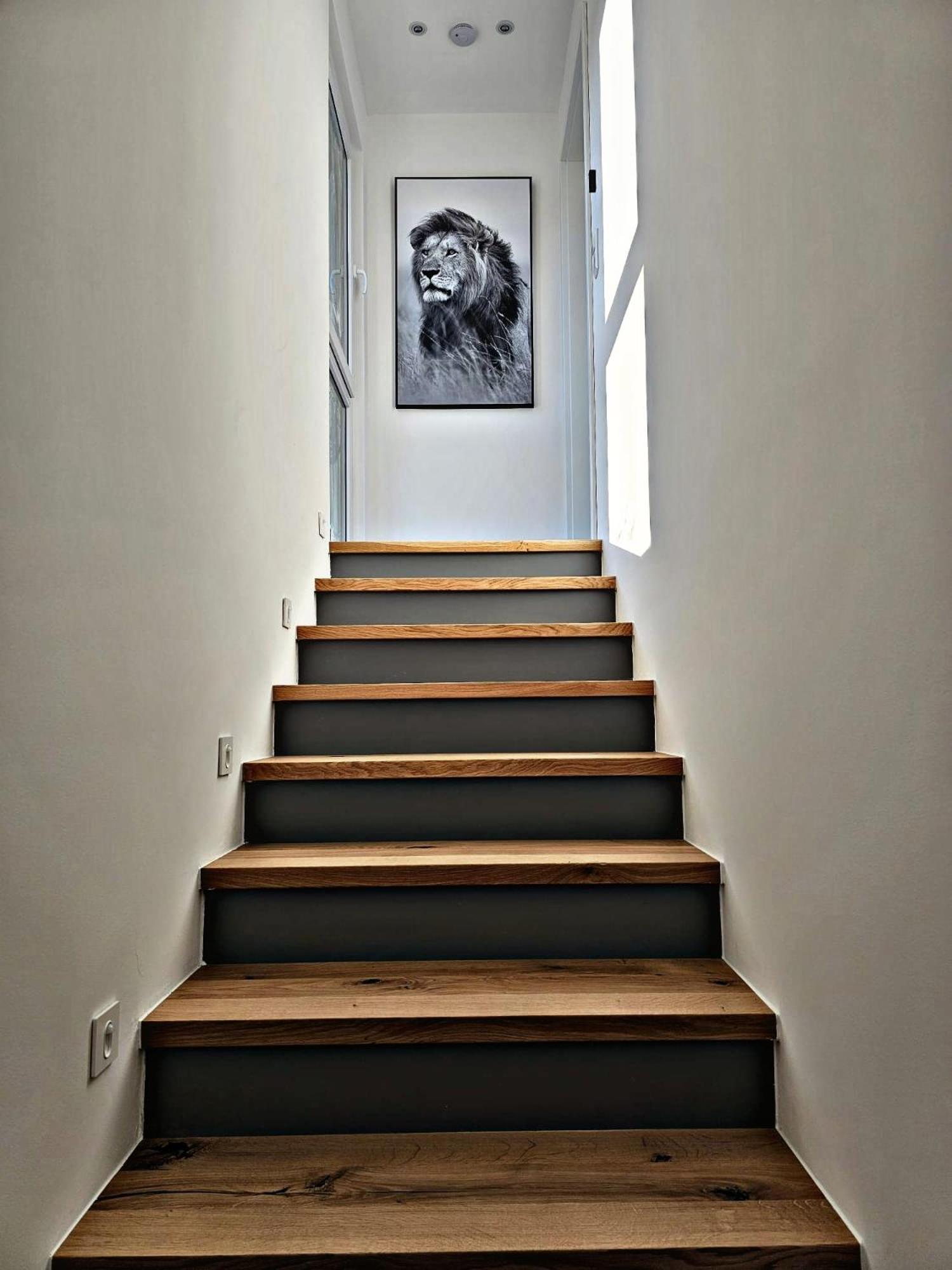 Lions Place Premium Apartments Comfort Optionaler Zugang Zum Spa- Bereich Heidenheim an der Brenz Extérieur photo