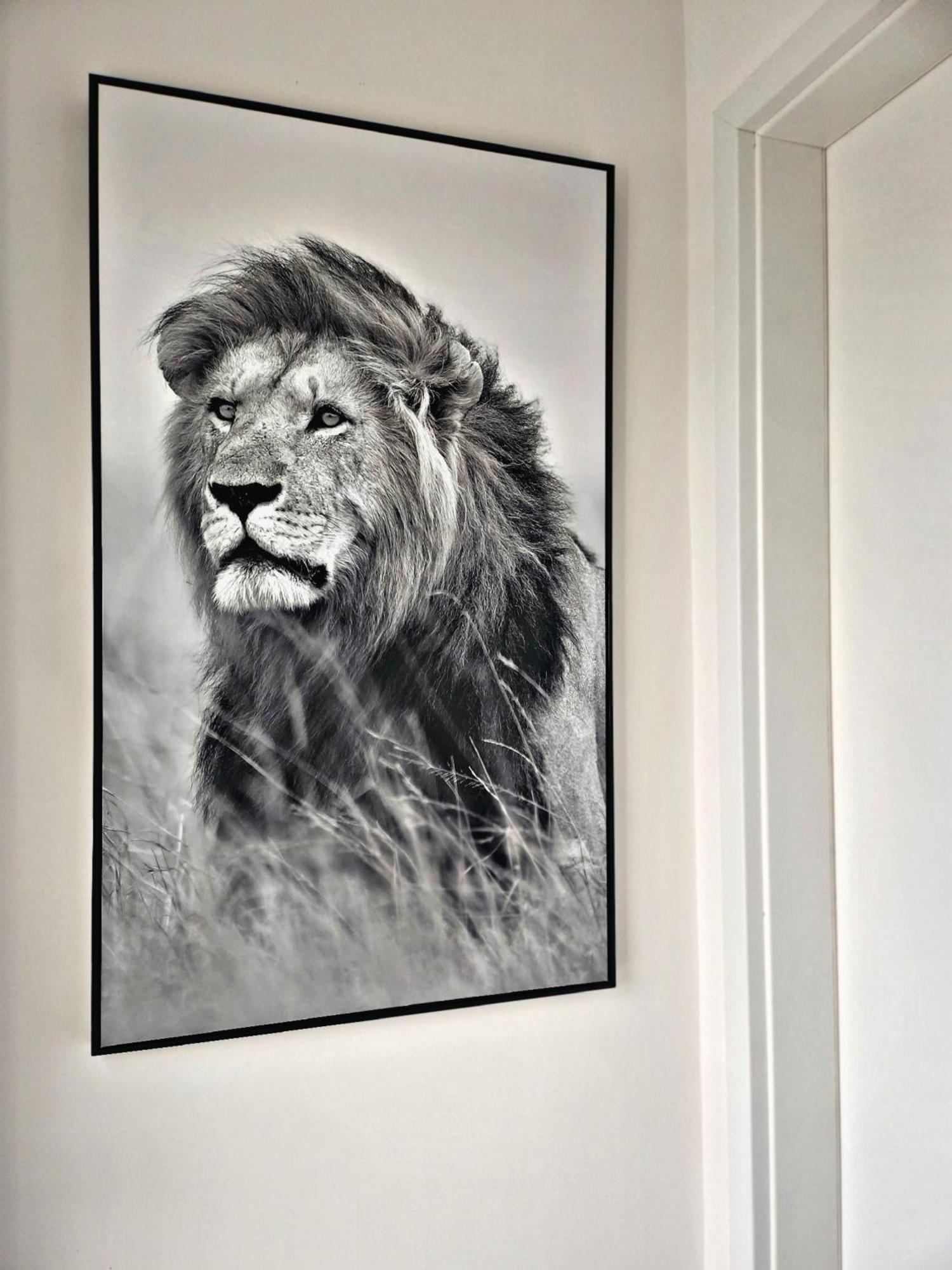 Lions Place Premium Apartments Comfort Optionaler Zugang Zum Spa- Bereich Heidenheim an der Brenz Extérieur photo